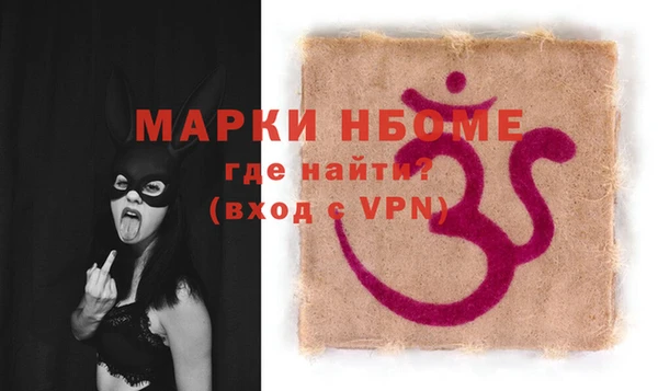 гашик Новодвинск