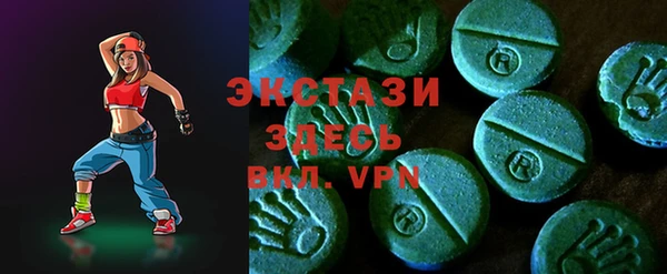 гашик Новодвинск