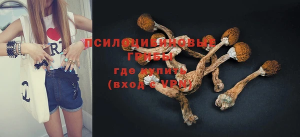 mdma Новозыбков