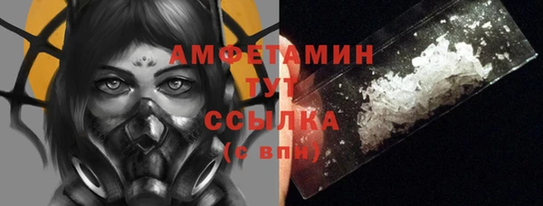 прущие грибы Новокубанск