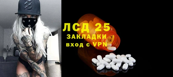 гашик Новодвинск