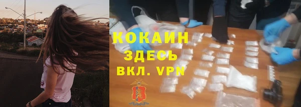 mdma Новозыбков