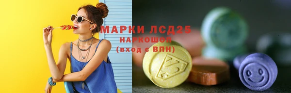 прущие грибы Новокубанск