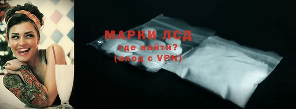 прущие грибы Новокубанск