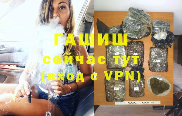 гашик Новодвинск