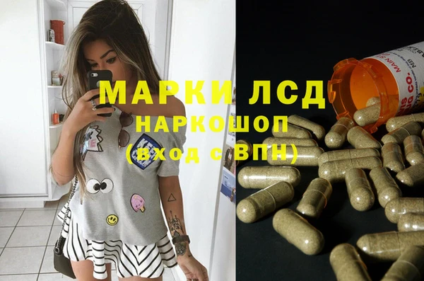 гашик Новодвинск