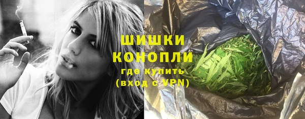 гашик Новодвинск