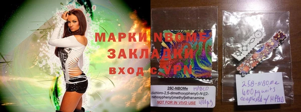 гашик Новодвинск