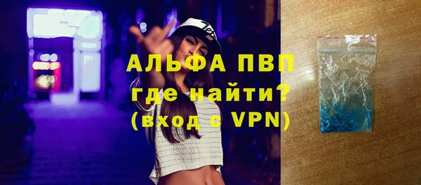 гашик Новодвинск