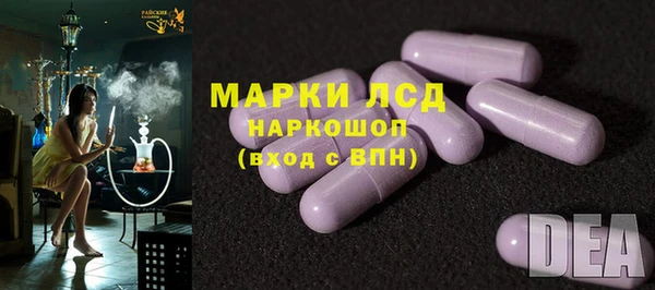 прущие грибы Новокубанск