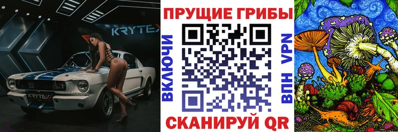 блэк спрут ССЫЛКА  Бахчисарай  площадка официальный сайт  Галлюциногенные грибы MAGIC MUSHROOMS 