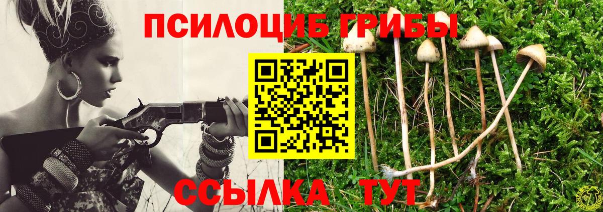 Галлюциногенные грибы мухоморы  Вход с VPN  Бахчисарай  Псилоцибиновые грибы ЛСД 