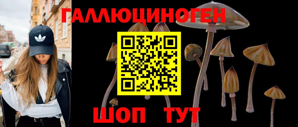 Псилоцибиновые грибы Psilocybe Бахчисарай